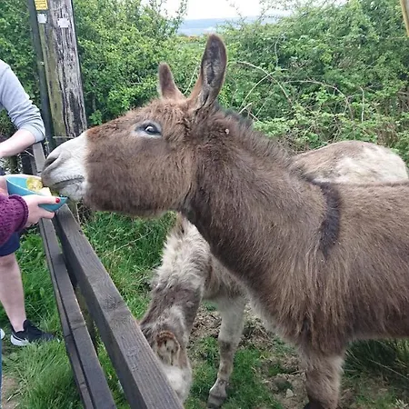 Melroche House بيت للعطل دولين