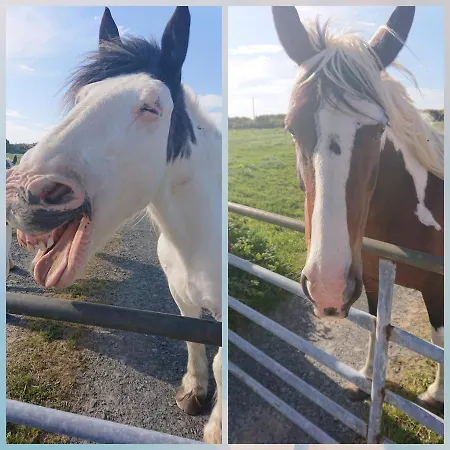 Melroche House بيت للعطل دولين