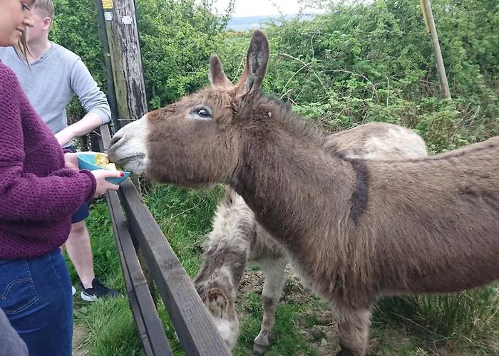 Melroche House Tatil Evi Doolin