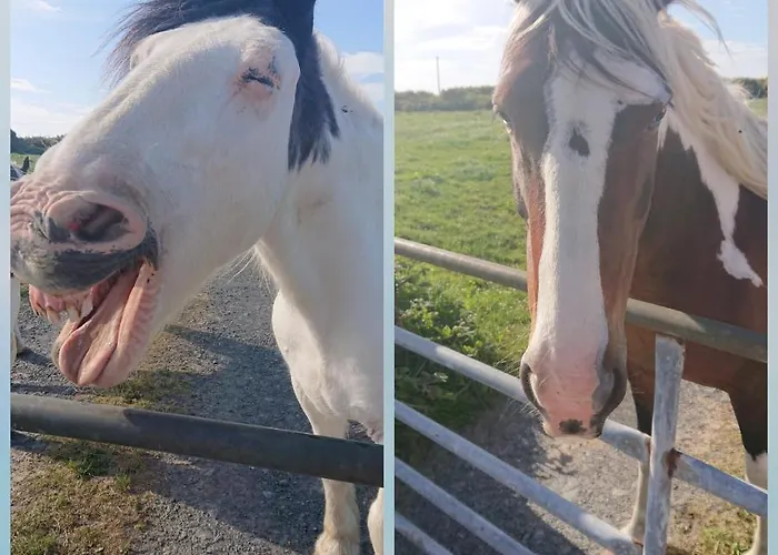 Melroche House Casa vacanze Doolin